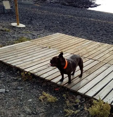 Ubytování v soukromí Laurainu Check In De 15 A 22 Hora