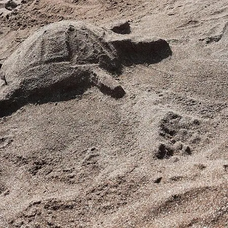 Laurainu Check In De 15 A 22 Hora