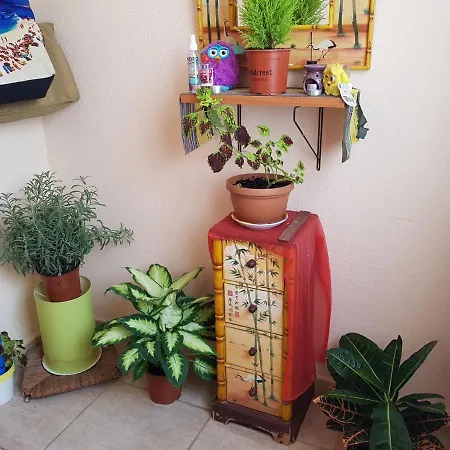 Laurainu Check In De 15 A 22 Hora Проживание в семье