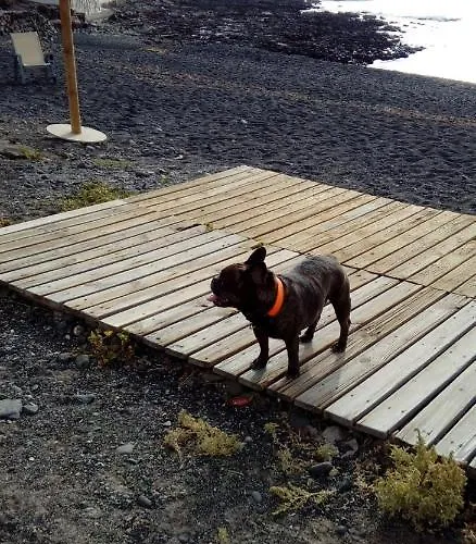 Homestay Laurainu Check In De 15 A 22 Hora