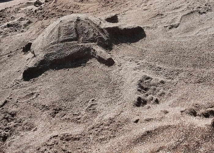 Laurainu Check In De 15 A 22 Hora