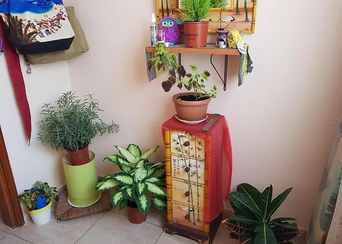 Laurainu Check In De 15 A 22 Hora Homestay